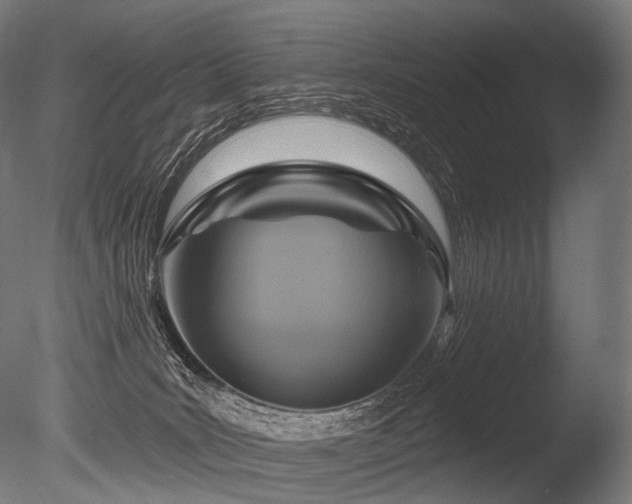 X0000086100035200703231446