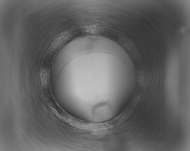 X0000086100036200703231446