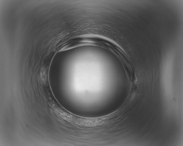 X0000086100037200703231446