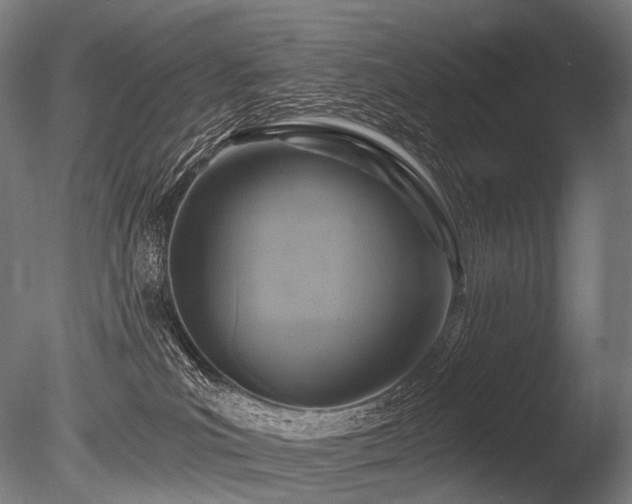 X0000086100039200703231446