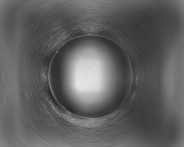 X0000086100040200703231446