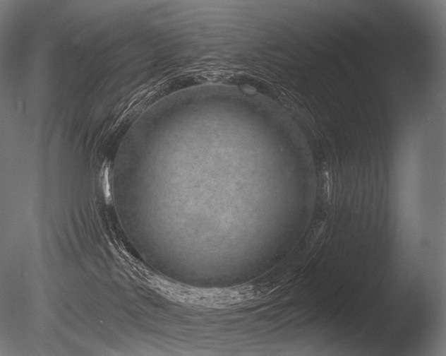 X0000086100042200703231446