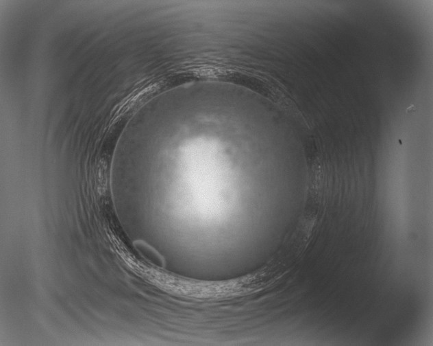 X0000086100043200703231446