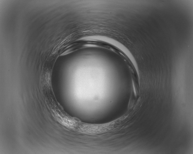 X0000086100045200703231446