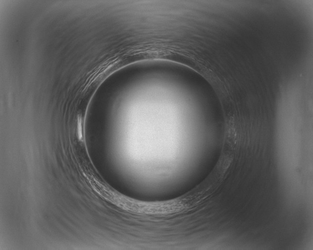 X0000086100046200703231446