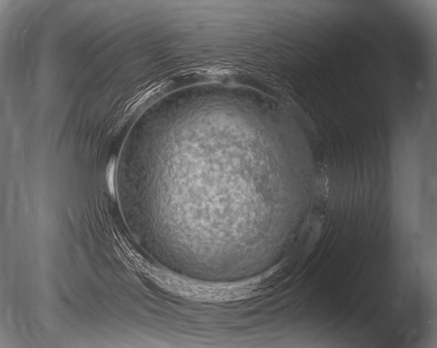 X0000086100047200703231446