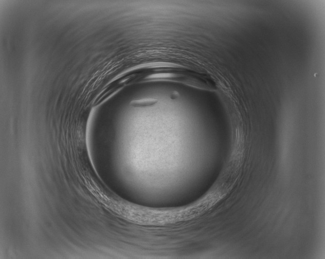 X0000086100048200703231446