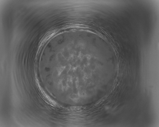 X0000086100049200703231445