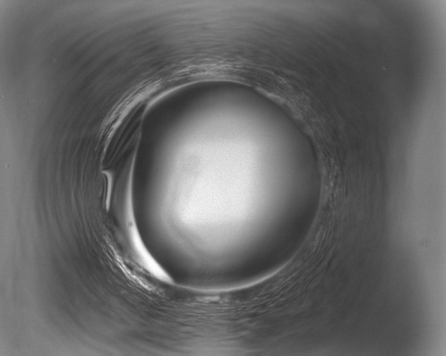 X0000086100050200703231445