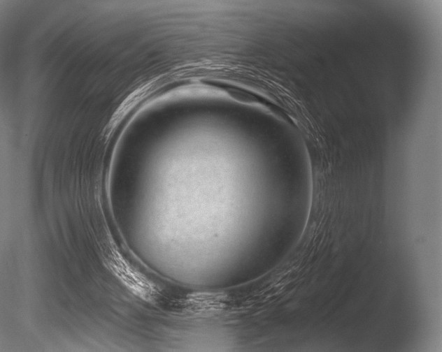 X0000086100051200703231445