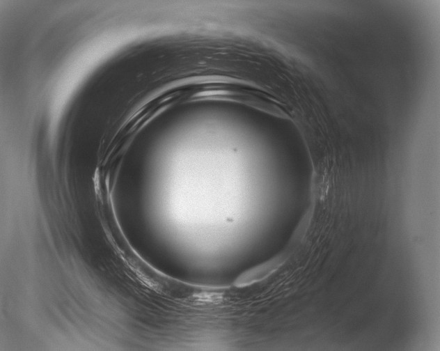 X0000086100052200703231445