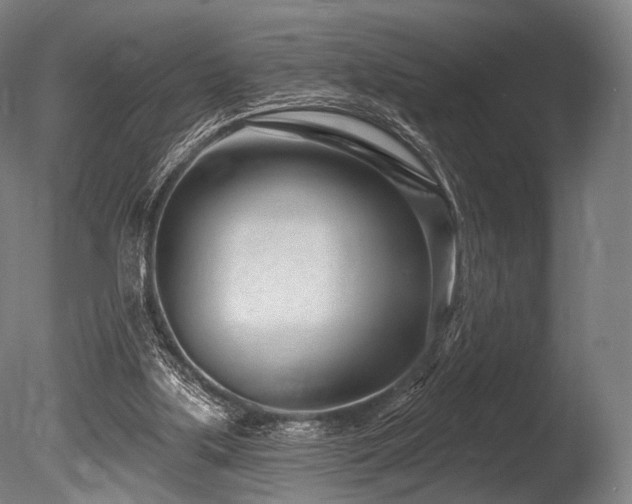 X0000086100059200703231446