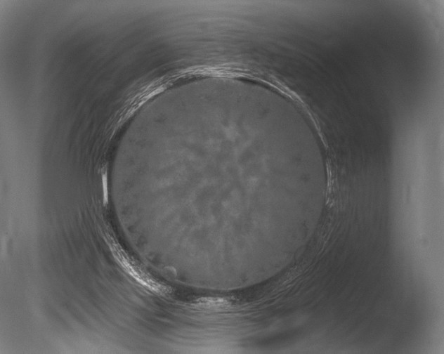 X0000086100061200703231446