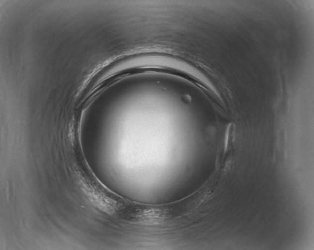 X0000086100064200703231446