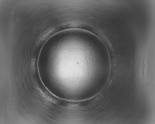 X0000086100066200703231446