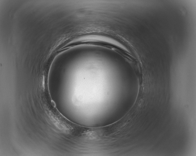 X0000086100067200703231446