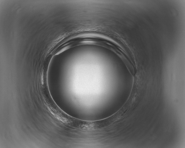 X0000086100068200703231446