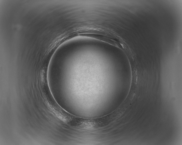 X0000086100071200703231446