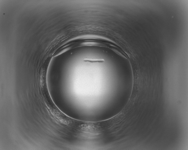 X0000086100074200703231446