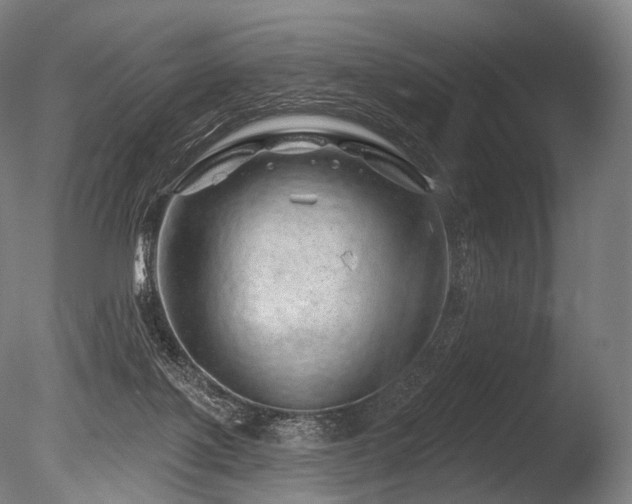 X0000086100075200703231446