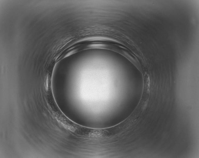 X0000086100076200703231446
