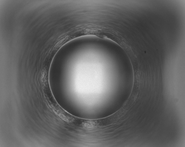X0000086100079200703231446