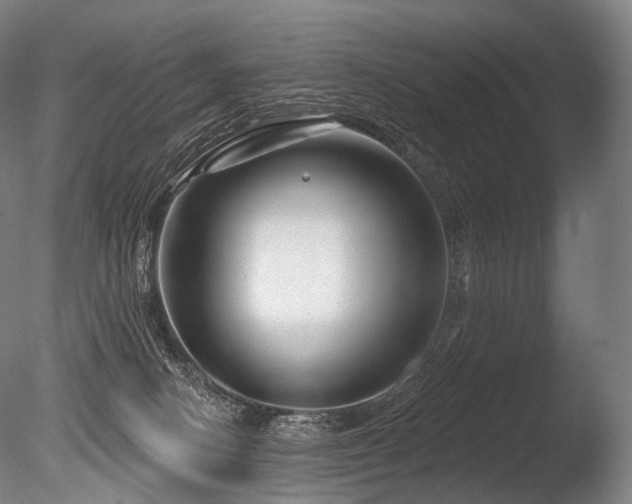 X0000086100082200703231446