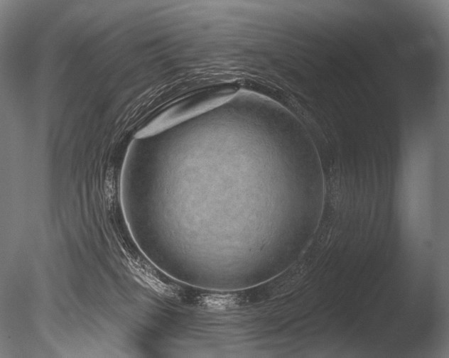 X0000086100085200703231446