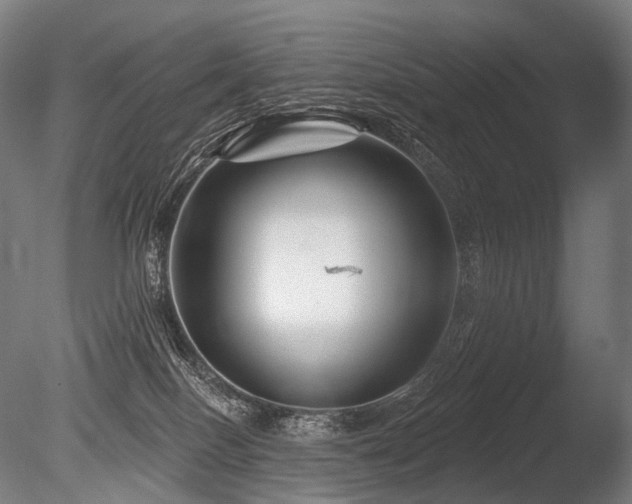 X0000086100086200703231446