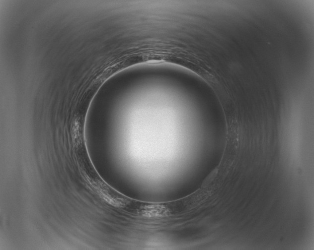X0000086100087200703231446