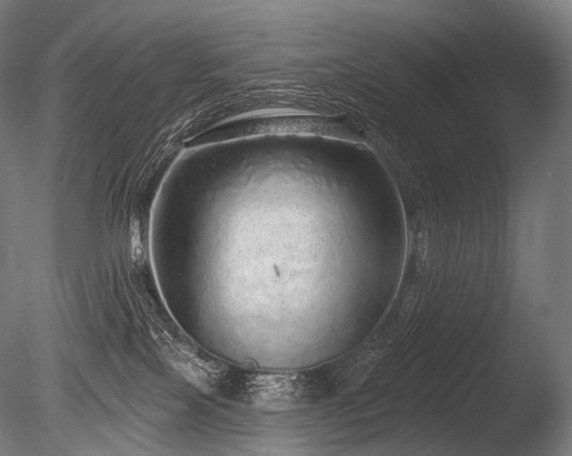 X0000086100089200703231446