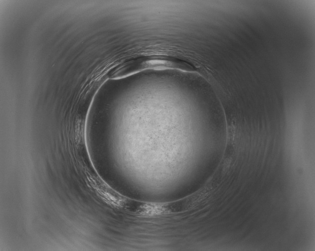 X0000086100093200703231446