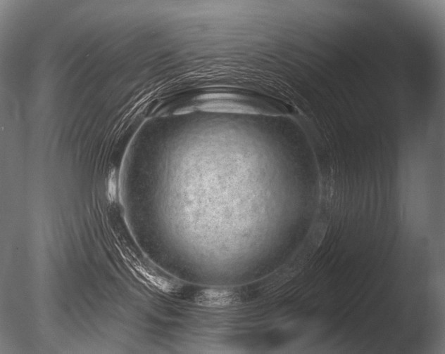 X0000086100095200703231446