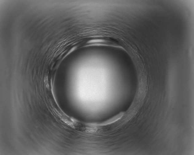 X0000086100096200703231446