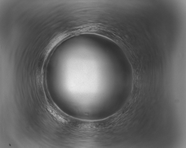 X0000086100100200703231445