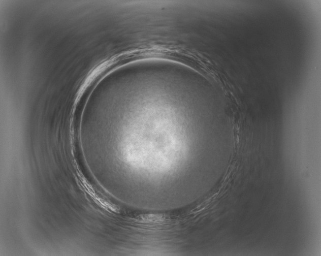 X0000086100102200703231445