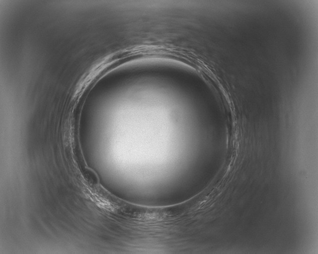 X0000086100103200703231445