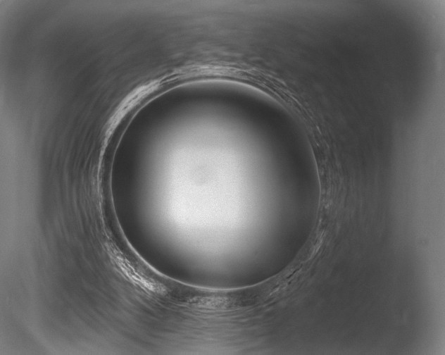 X0000086100104200703231445
