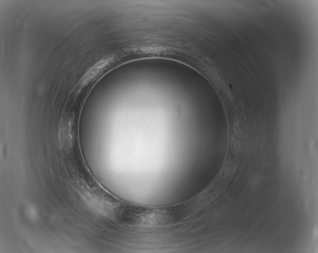 X0000086100116200703231445