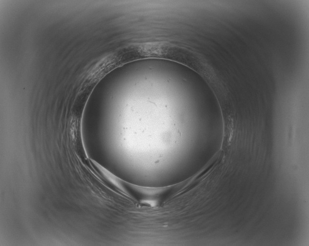 X0000086100125200703231445