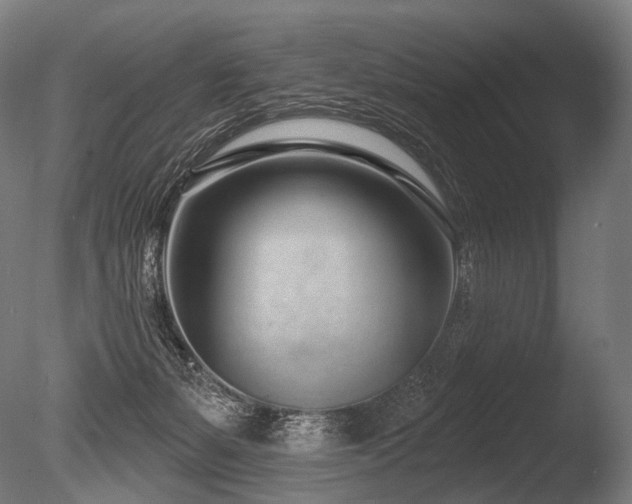 X0000086100127200703231445
