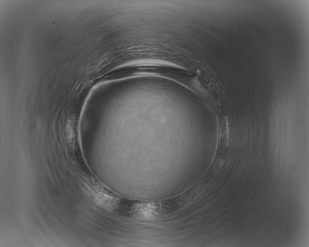 X0000086100131200703231445