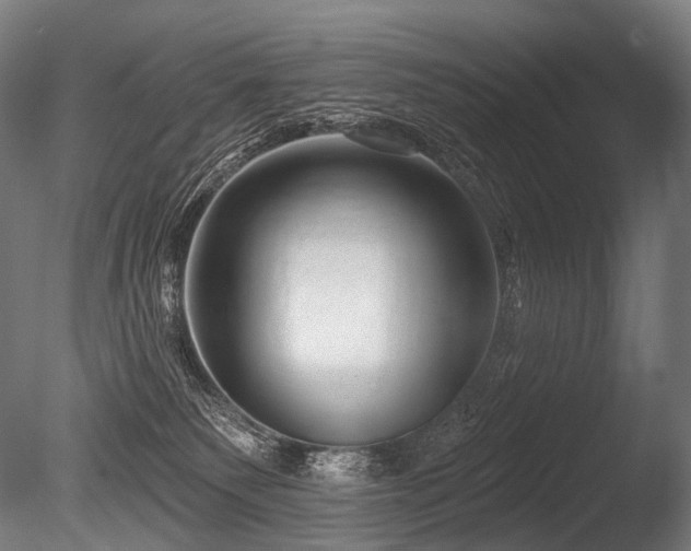 X0000086100135200703231445