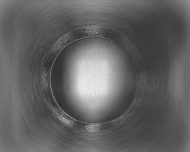 X0000086100136200703231445