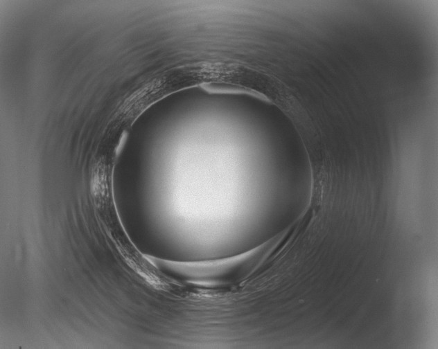 X0000086100137200703231445