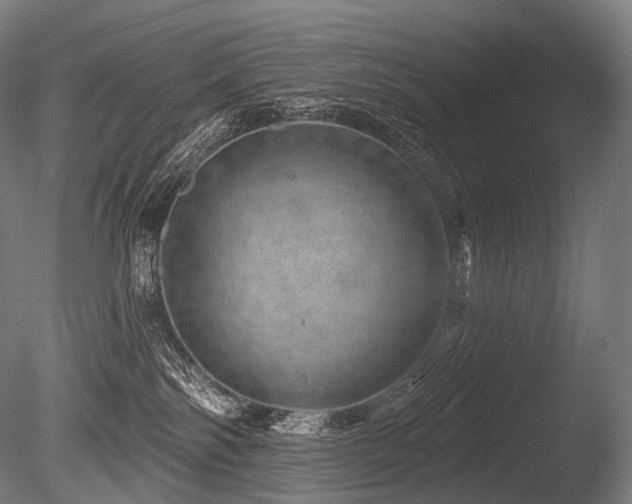 X0000086100138200703231445