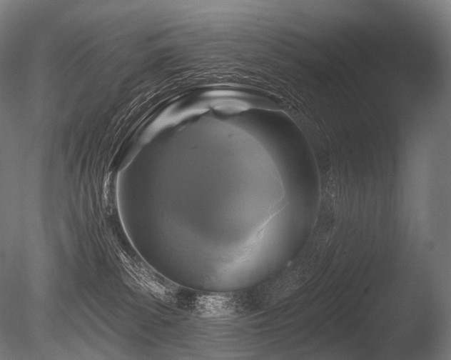X0000086100139200703231445