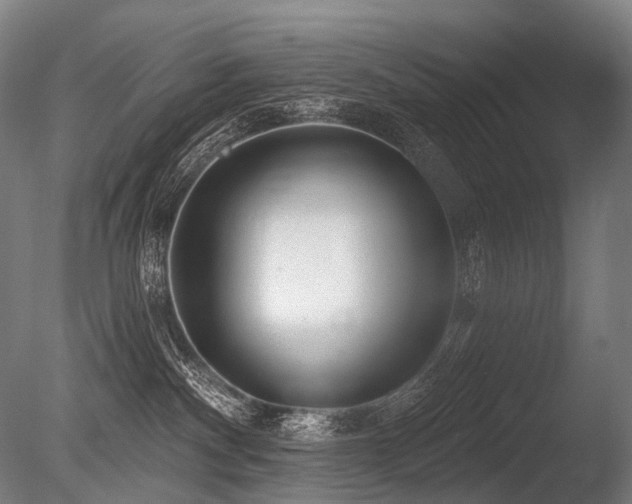 X0000086100140200703231445