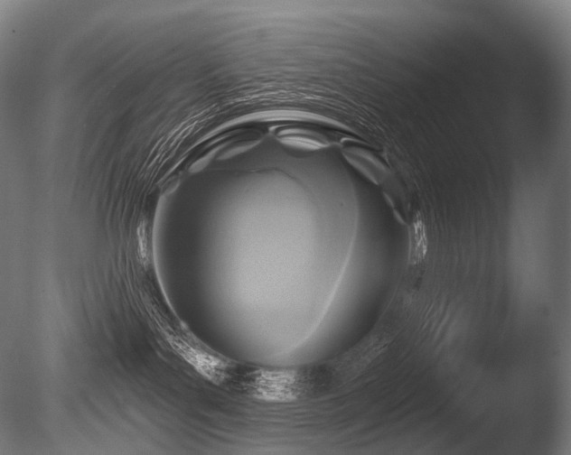 X0000086100143200703231445