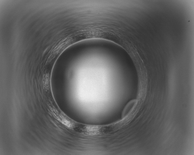 X0000086100144200703231445